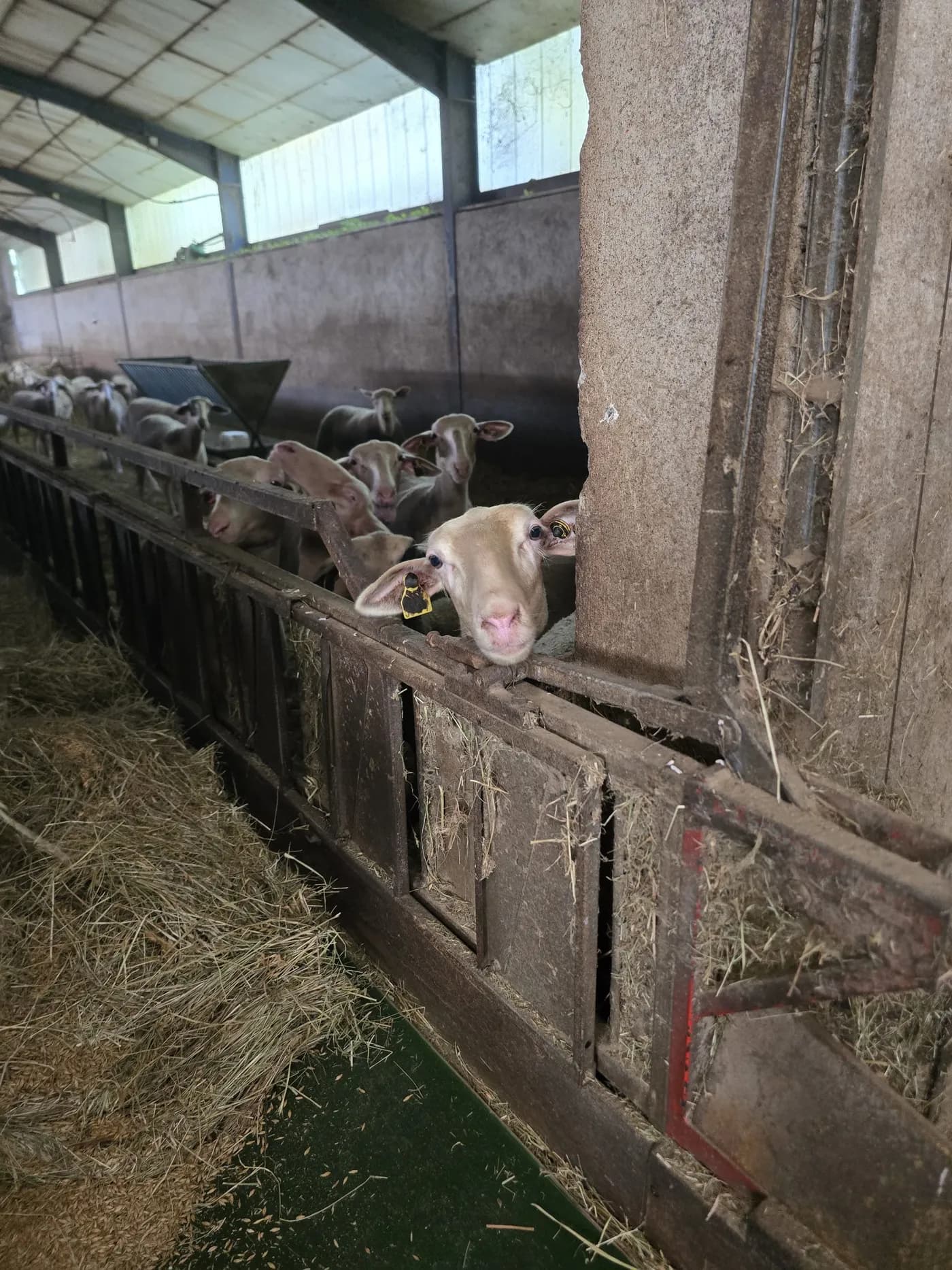 A la rencontre des producteurs de la Vallée du Tarn