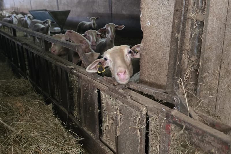 A la rencontre des producteurs de la Vallée du Tarn