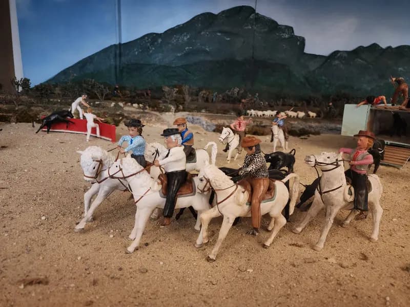 Découvrir la Camargue et ses traditions