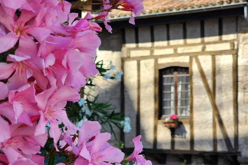 Découvrir Caylus et les environs