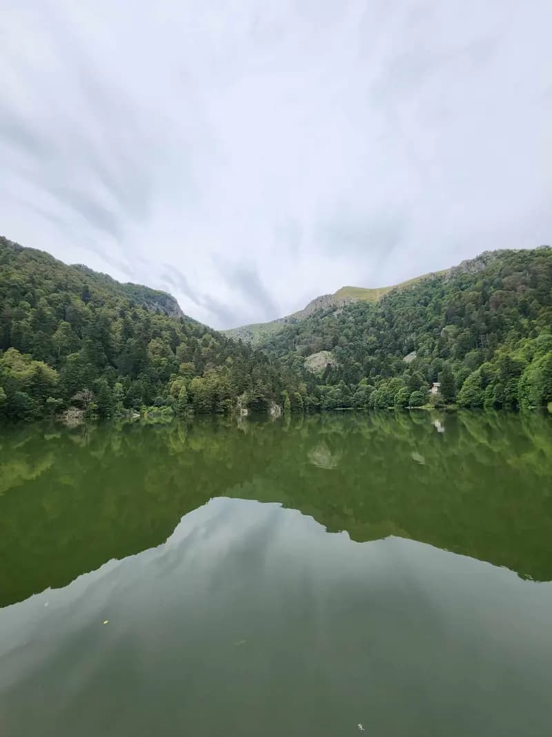 Dans la vallée de Munster