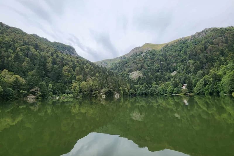 Dans la vallée de Munster