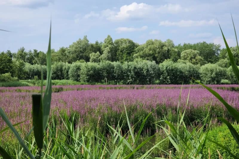 Une journée détente près de Lille