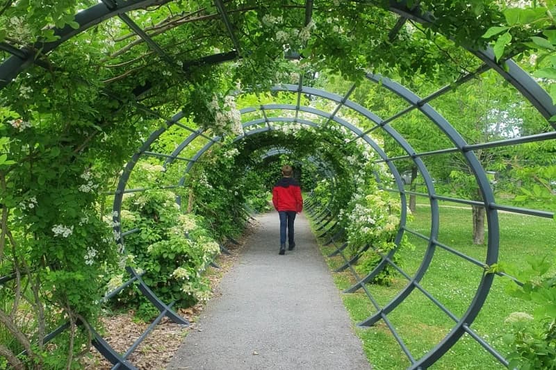 Les jardins Mallet-Stevens