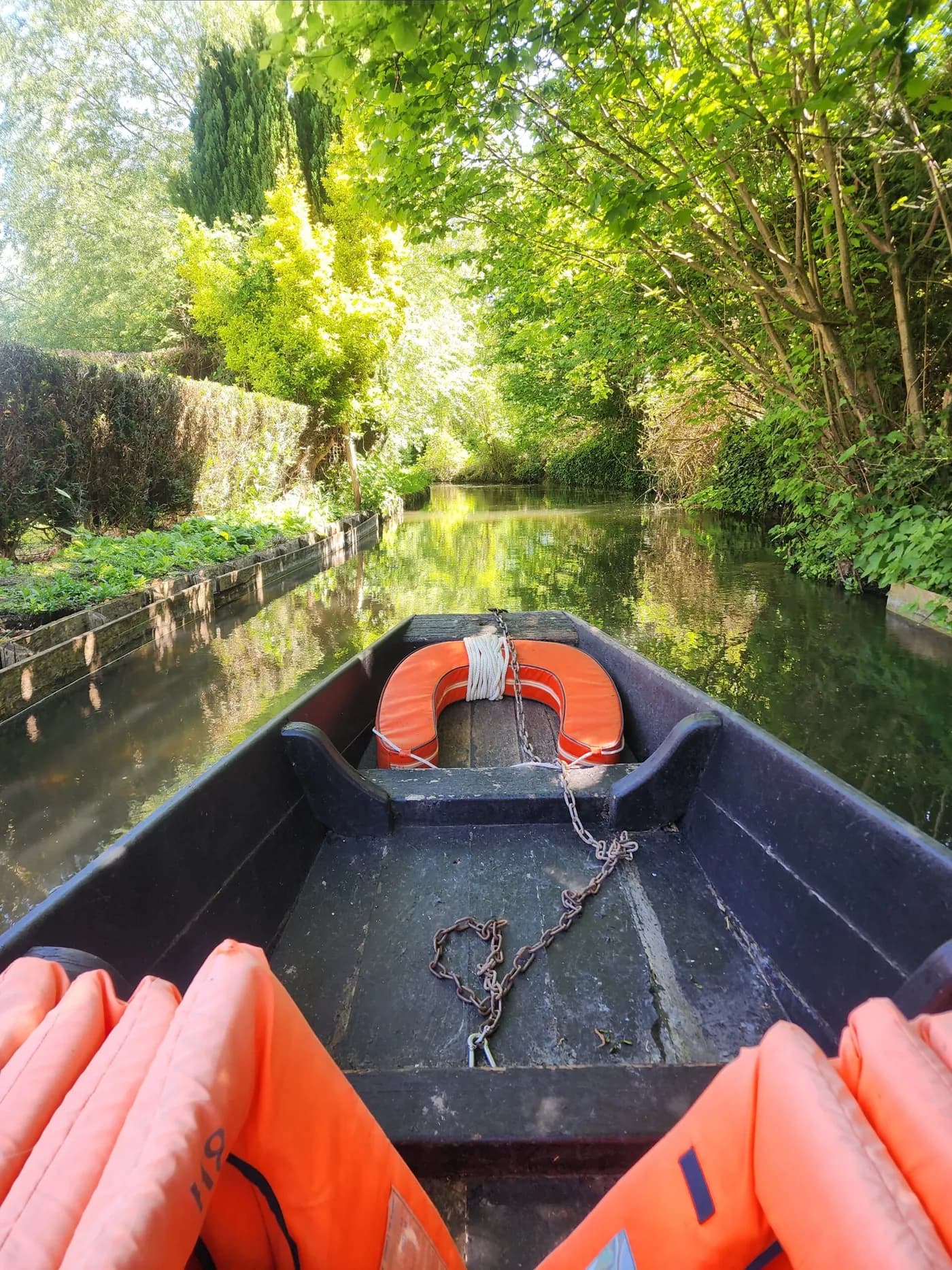 Balade dans les Hortillonnages d’Amiens : une escapade nature au cœur de la Somme