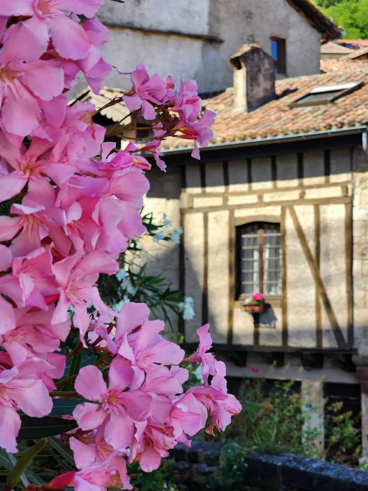 Découvrir Caylus et les environs