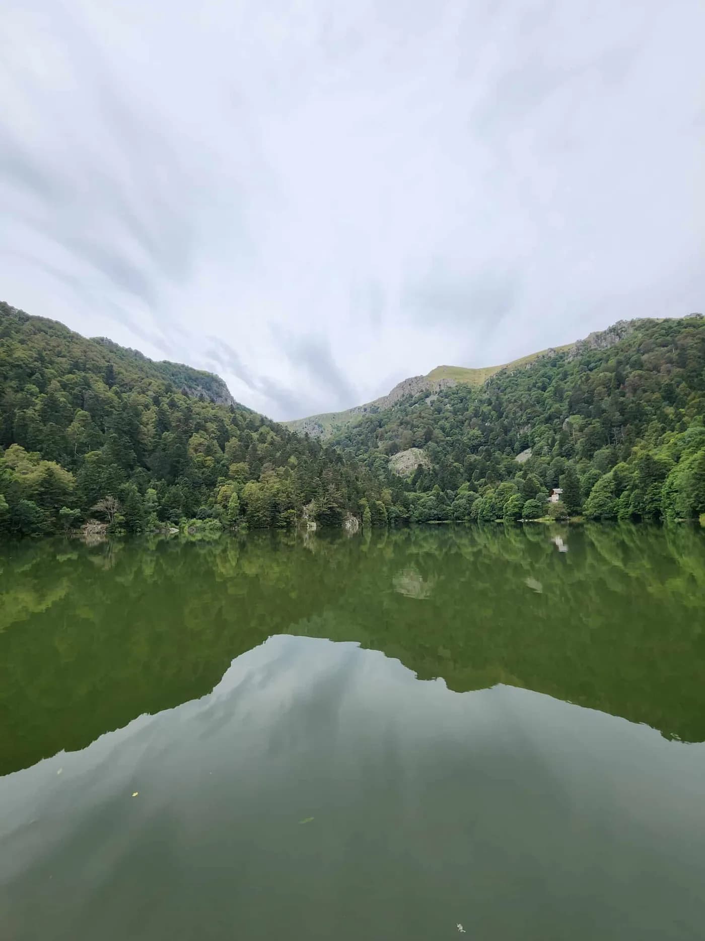 Dans la vallée de Munster