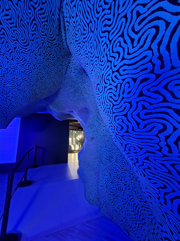 Fonds marins au musée de la dentelle