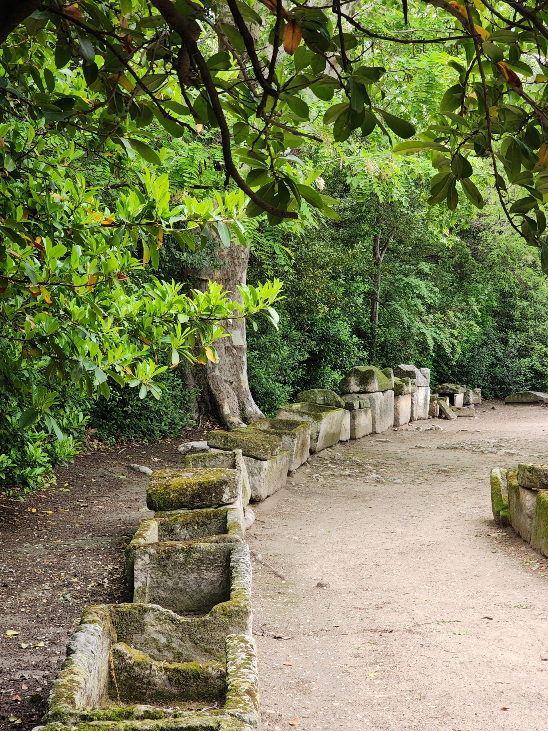 alignement de sarcophages