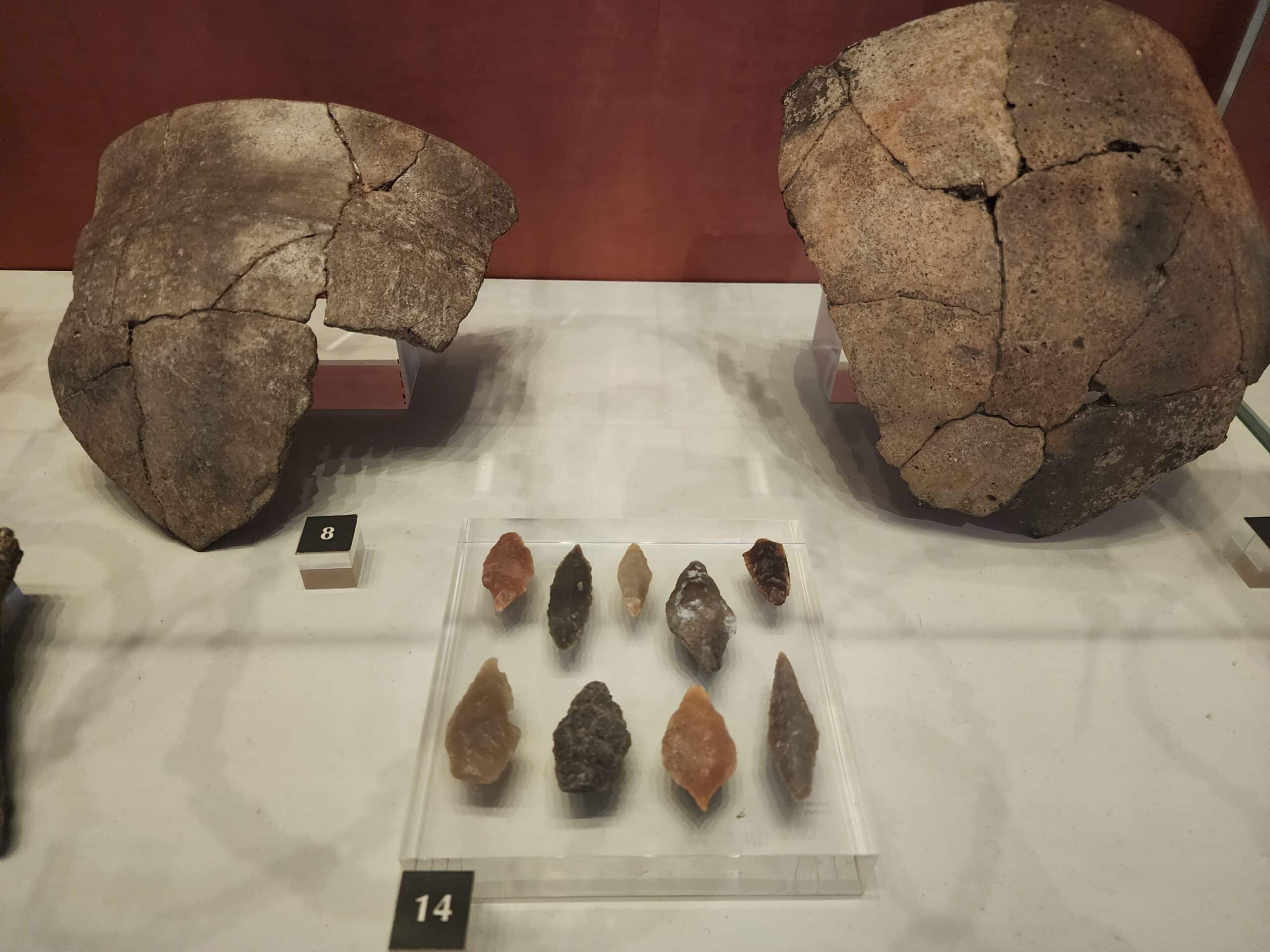 objets-préhistoire-musee-arles-antique