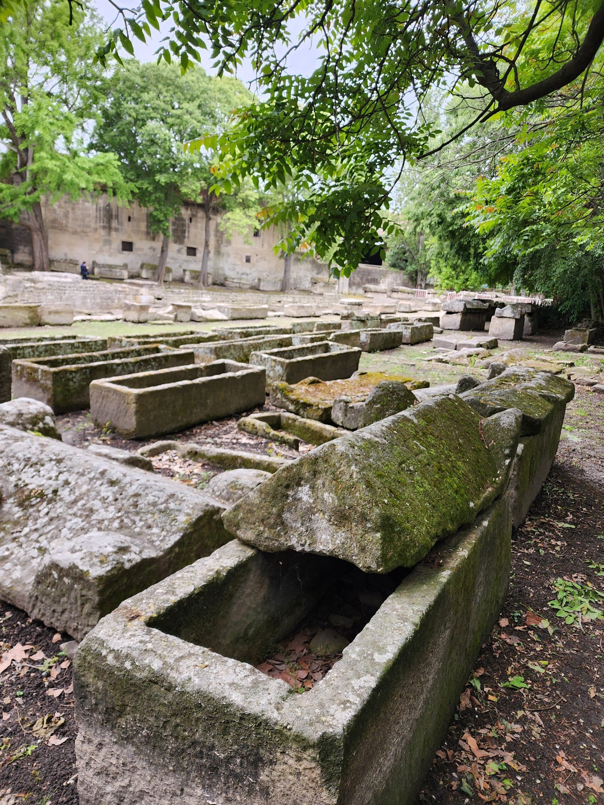 sarcophages dans les Alyscamps