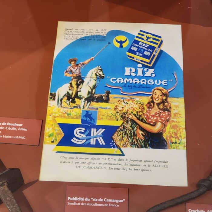 Affiche sur le riz