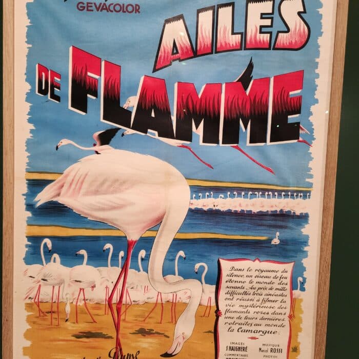 Film ailes de flamme