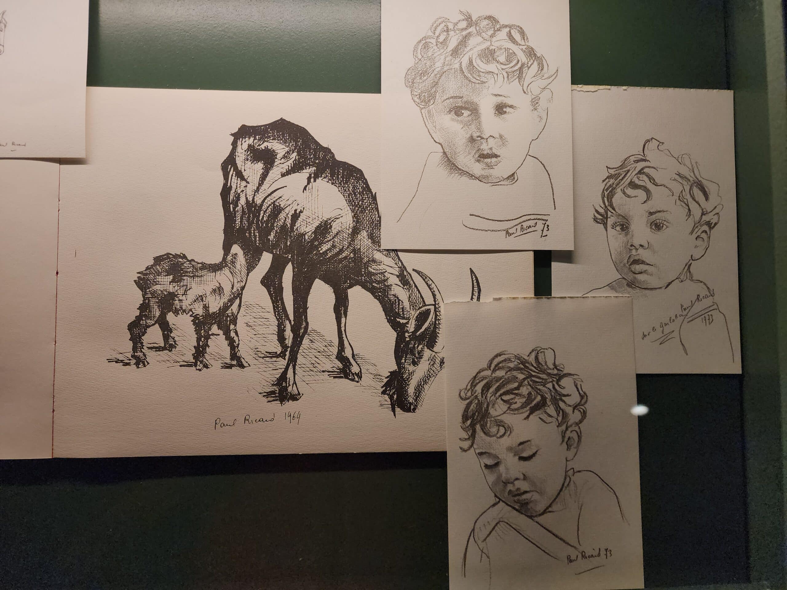 Dessins réalisés par Paul Ricard