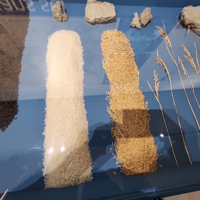 Vitrine avec du riz
