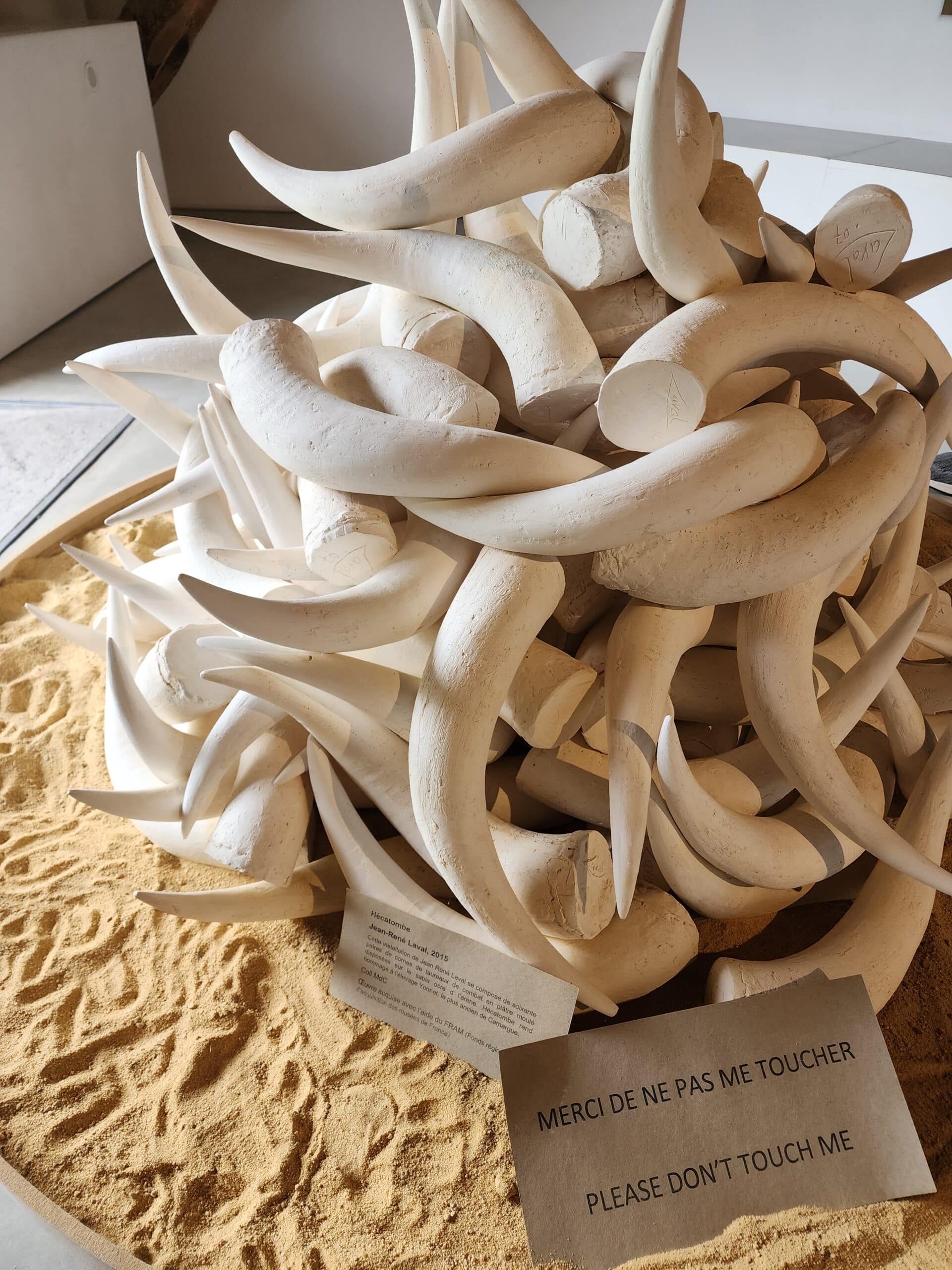 Sculpture avec des cornes moulées