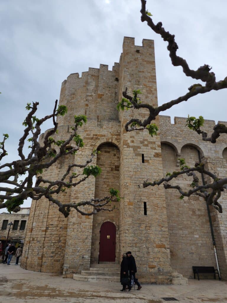 Tour-donjon