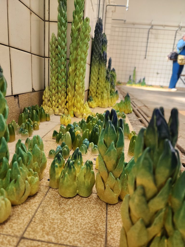 plantes qui poussent