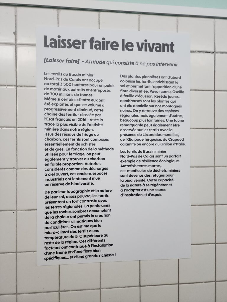 laisser faire le vivant