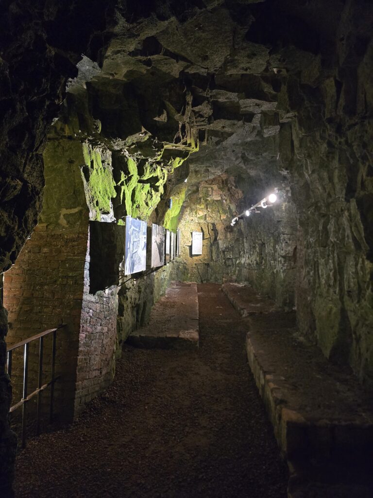 tunnel avant