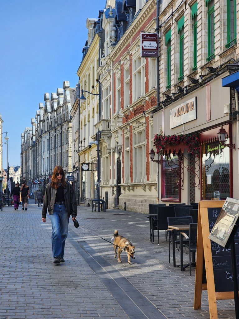 balade avec son chien