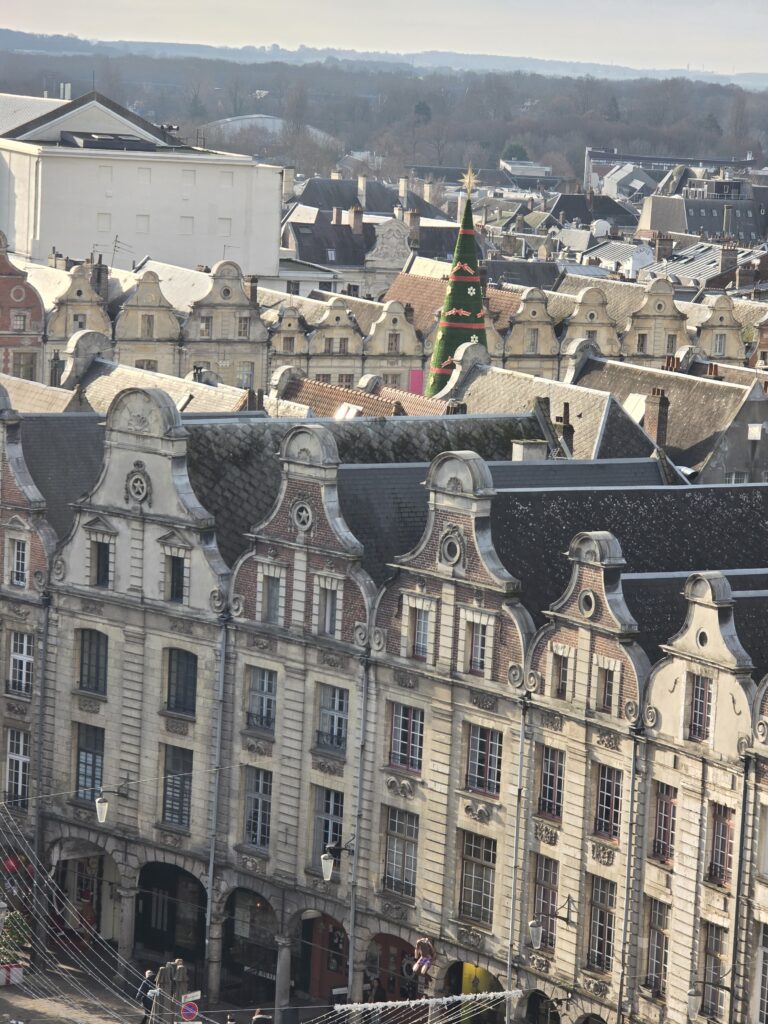 vue-marche-noel-arras-journee