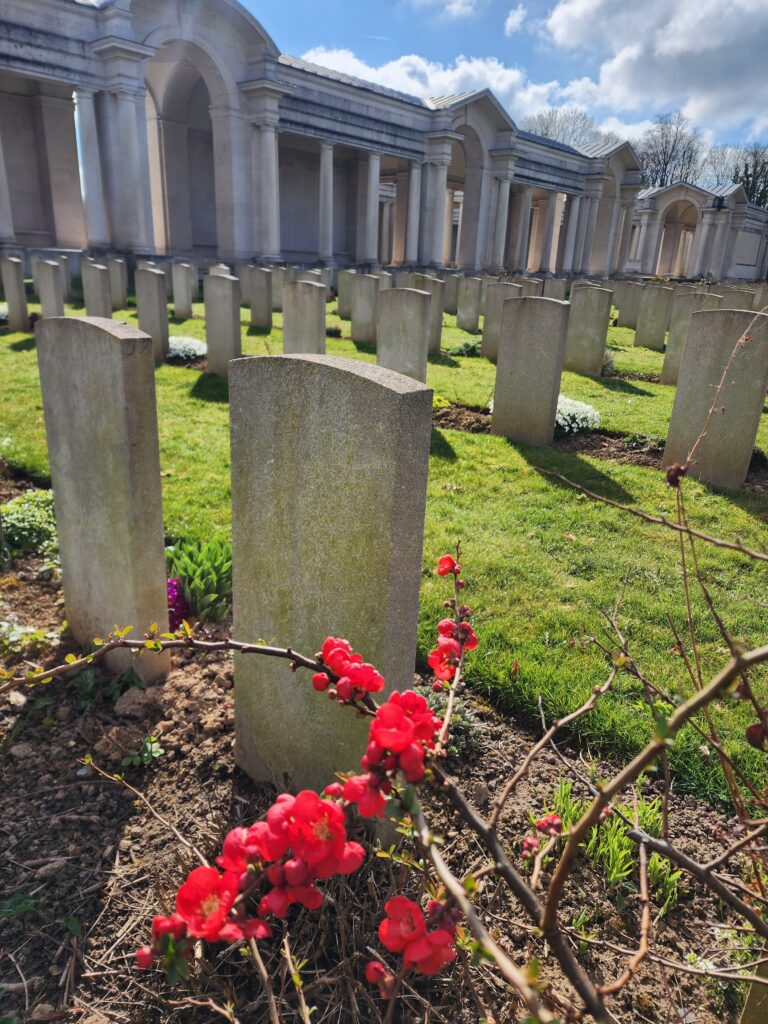 tombes avec des fleurs rouges